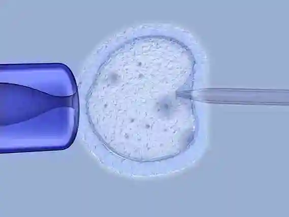 泰州当多元家庭拥抱新生命：解锁 “彩虹生子” 的温暖密码