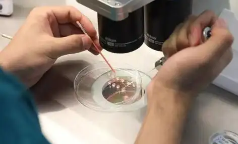 泰州打破偏见的生命礼赞：同性生子背后的爱与坚守